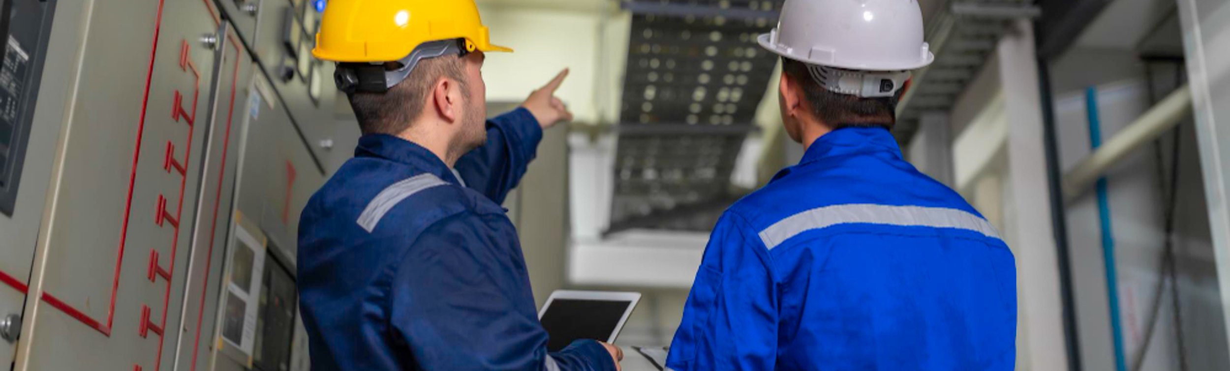 Project management services